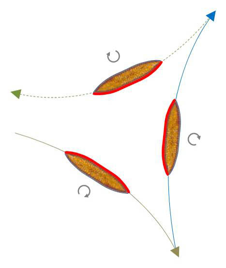 Reversal with keeping the curvature direction