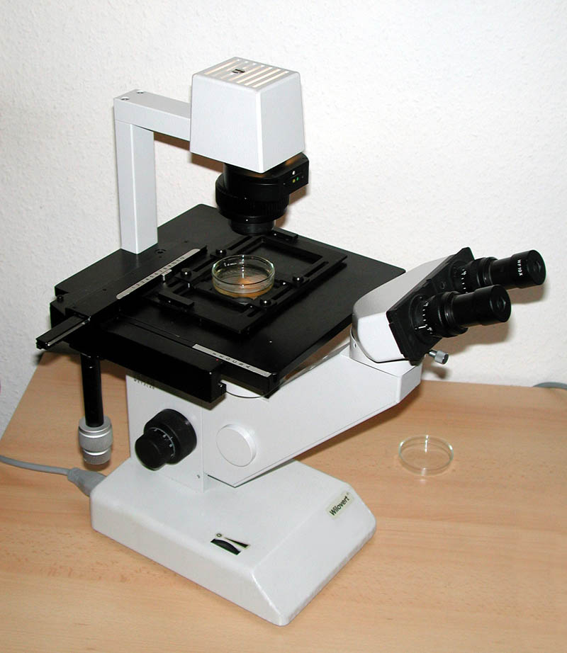inverses Mikroskop Wilovert